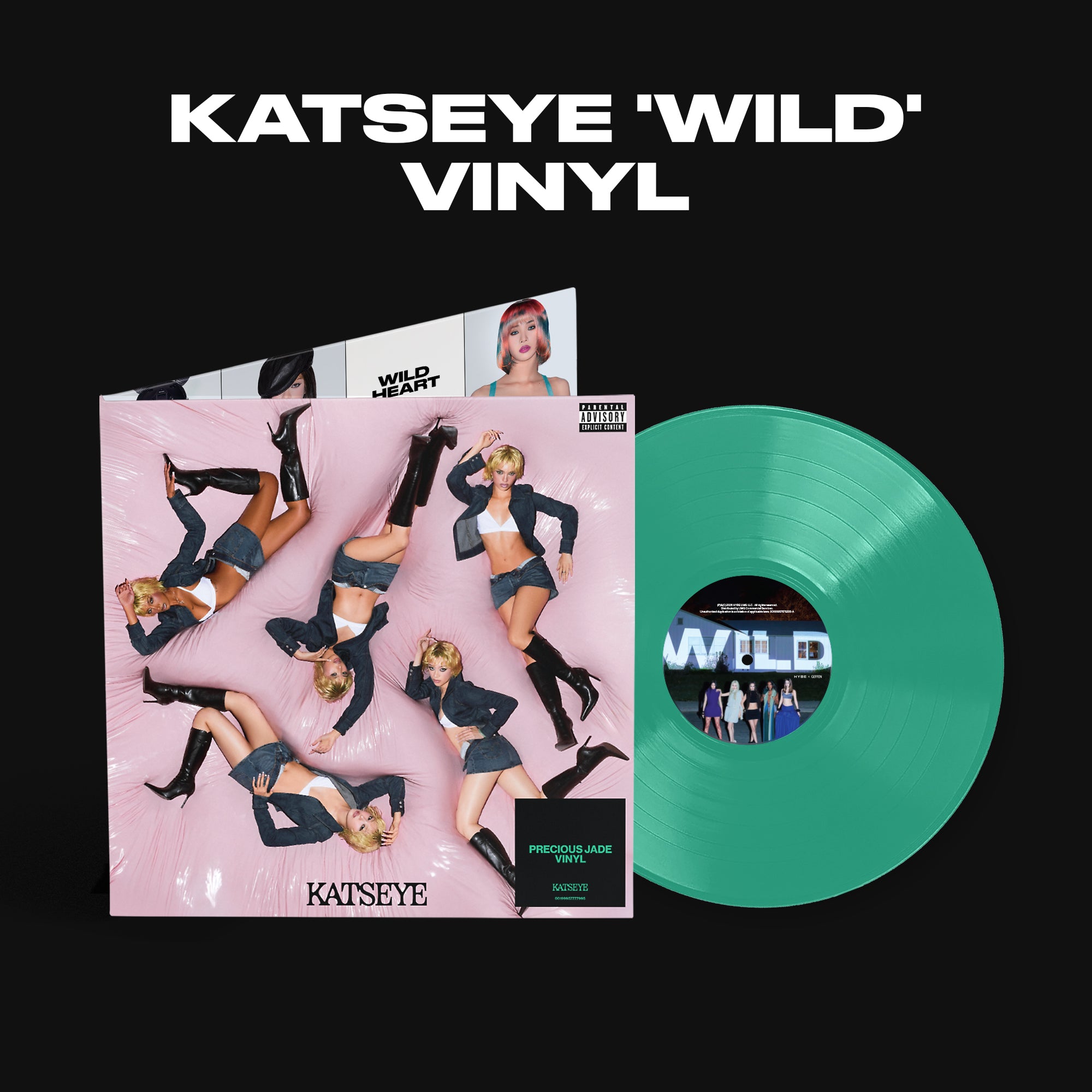 WILD Vinyl + Signed Art Card