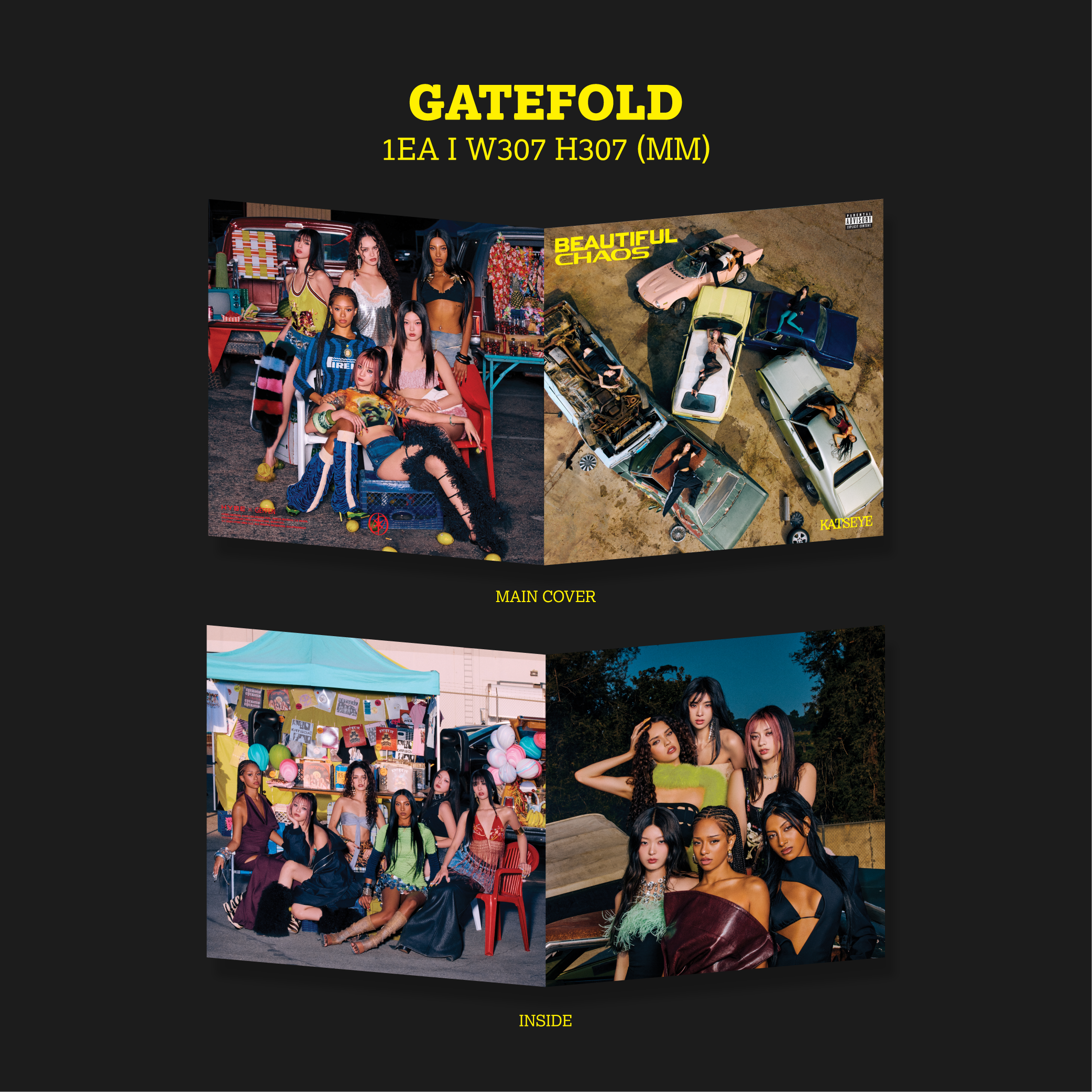 BEAUTIFUL CHAOS - Store Exclusive Vinyl + Signed Artcard